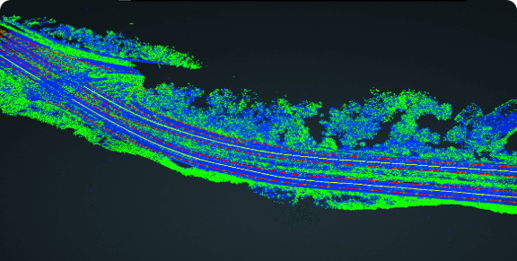 Anotación de carril BEV 4D