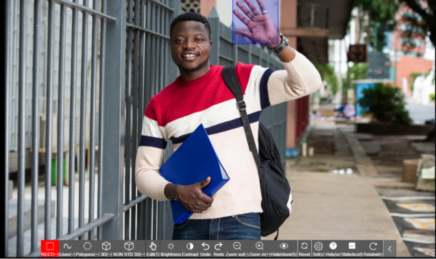 Anotación de Datos de Reconocimiento de Comportamiento