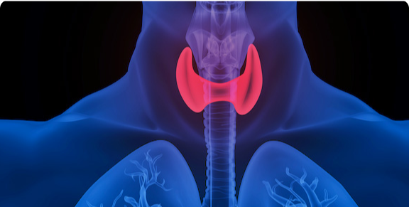 Segmentación de imágenes médicas