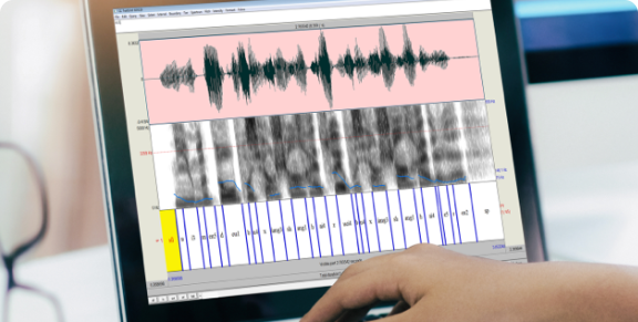 Segmentación de fonemas