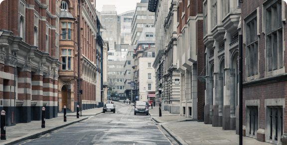 Recopilación de datos de Vista de Calle